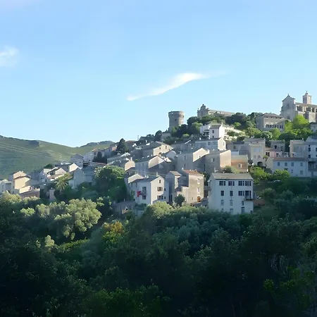 Avec Terrasse Proche